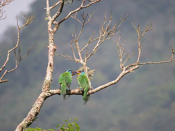 IMG_9390.JPG IMG_9390.JPG