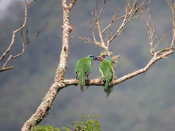 IMG_9391.JPG IMG_9391.JPG