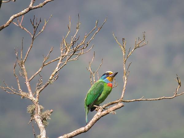 IMG_9395.JPG IMG_9395.JPG