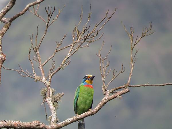 IMG_9401.JPG IMG_9401.JPG