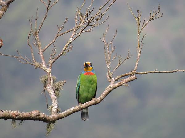 IMG_9403.JPG IMG_9403.JPG