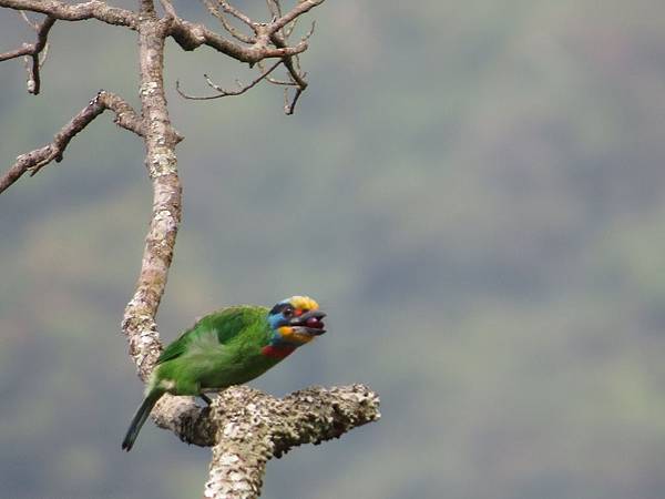 IMG_9404.JPG IMG_9404.JPG