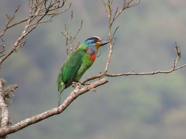 IMG_9409.JPG IMG_9409.JPG