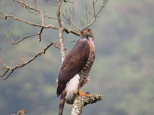 IMG_9412.JPG IMG_9412.JPG