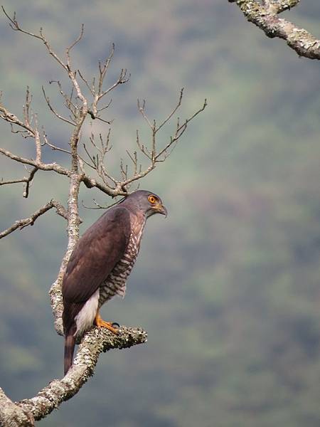 IMG_9420.JPG IMG_9420.JPG