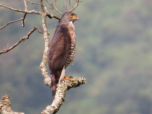 IMG_9439.JPG IMG_9439.JPG