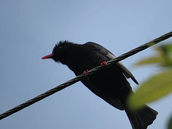 IMG_9442.JPG IMG_9442.JPG