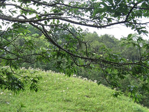 IMG_9443.JPG IMG_9443.JPG