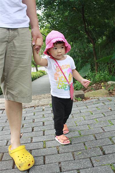 IMG_9325.JPG IMG_9325.JPG