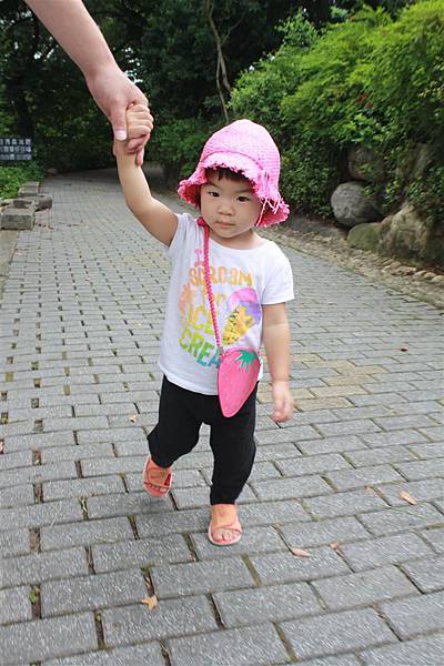 IMG_9327.JPG IMG_9327.JPG