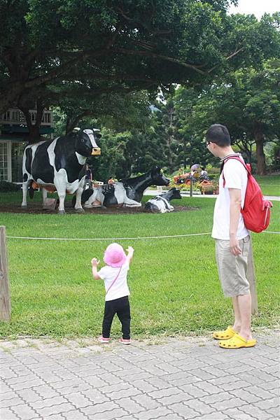 IMG_9332.JPG IMG_9332.JPG