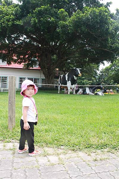 IMG_9336.JPG IMG_9336.JPG