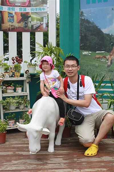 IMG_9337.JPG IMG_9337.JPG