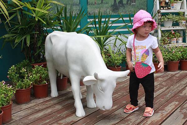 IMG_9342.JPG IMG_9342.JPG