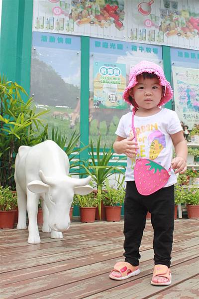 IMG_9345.JPG IMG_9345.JPG