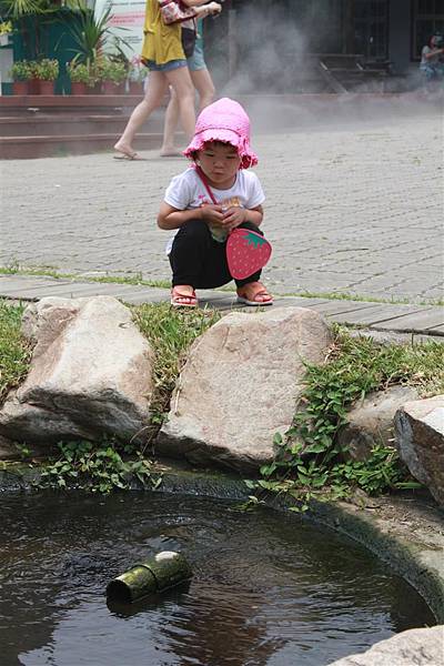 IMG_9349.JPG IMG_9349.JPG