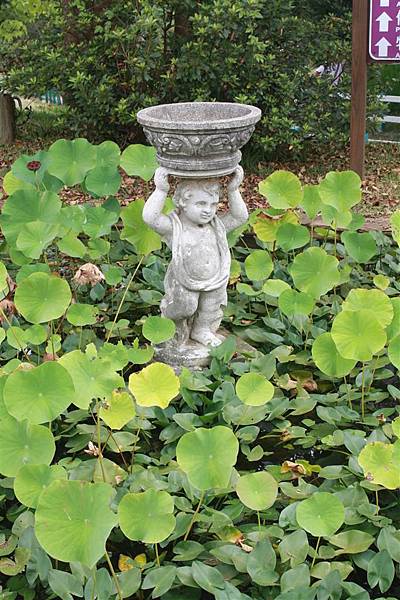 IMG_9350.JPG IMG_9350.JPG