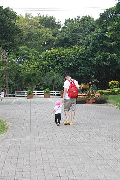 IMG_9351.JPG IMG_9351.JPG