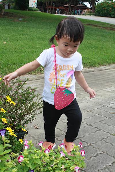 IMG_9353.JPG IMG_9353.JPG