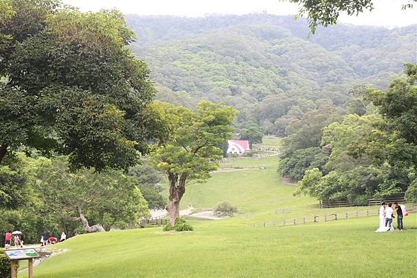 IMG_9355.JPG IMG_9355.JPG