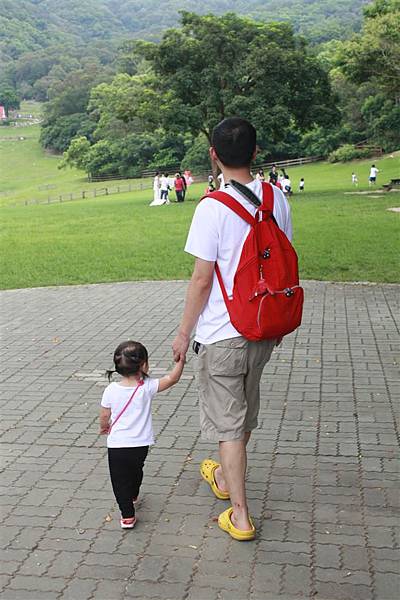 IMG_9356.JPG IMG_9356.JPG