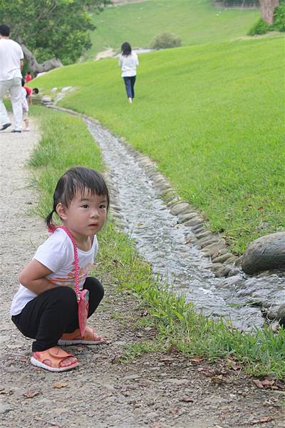 IMG_9362.JPG IMG_9362.JPG