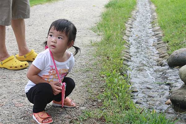 IMG_9364.JPG IMG_9364.JPG