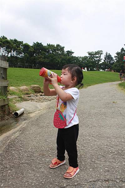 IMG_9373.JPG IMG_9373.JPG