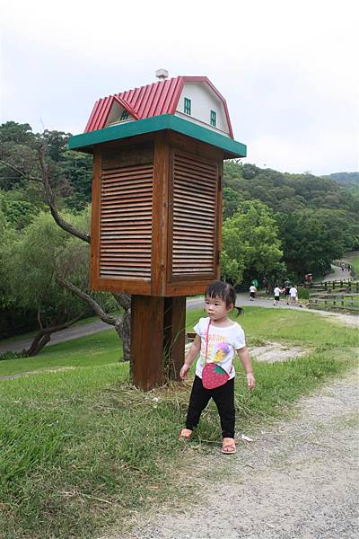 IMG_9368.JPG IMG_9368.JPG