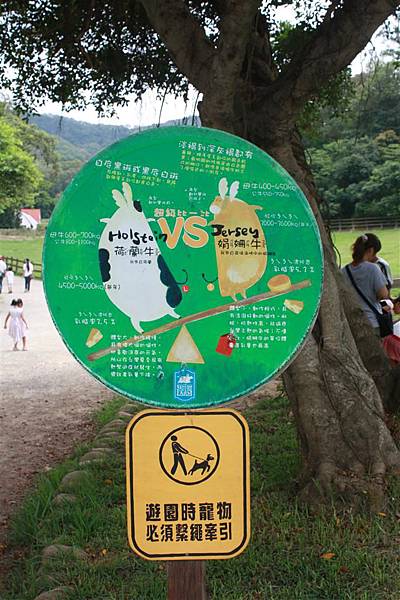 IMG_9379.JPG IMG_9379.JPG