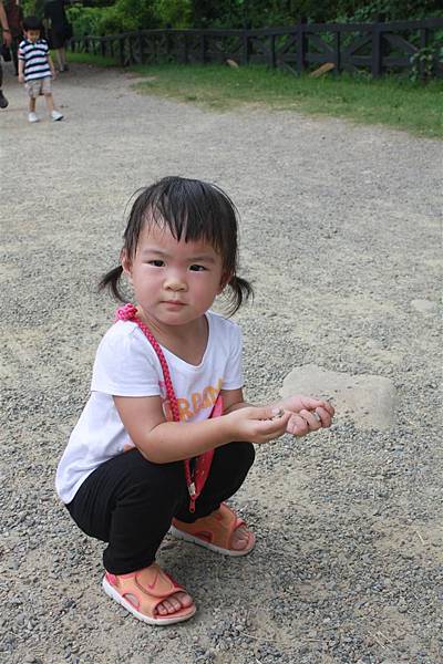 IMG_9382.JPG IMG_9382.JPG