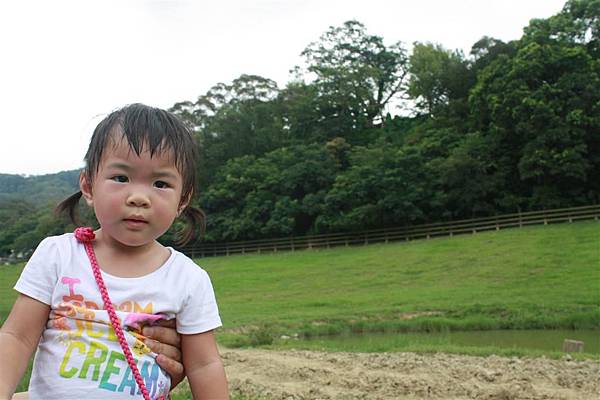 IMG_9391.JPG IMG_9391.JPG