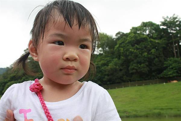 IMG_9393.JPG IMG_9393.JPG