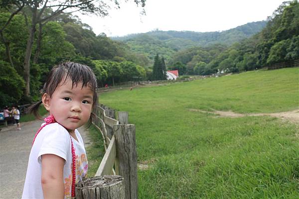 IMG_9397.JPG IMG_9397.JPG