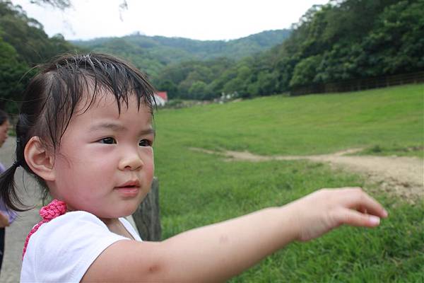 IMG_9399.JPG IMG_9399.JPG