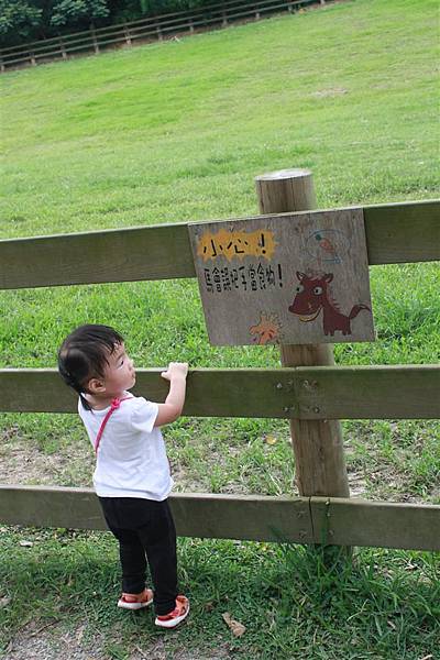 IMG_9401.JPG IMG_9401.JPG