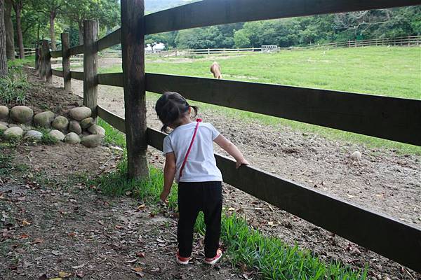 IMG_9408.JPG IMG_9408.JPG