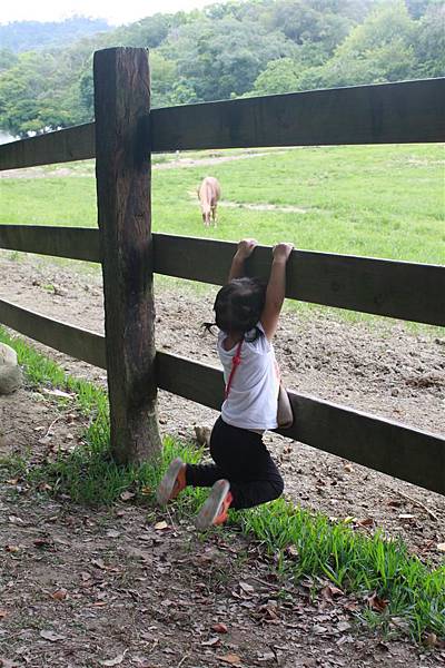 IMG_9411.JPG IMG_9411.JPG