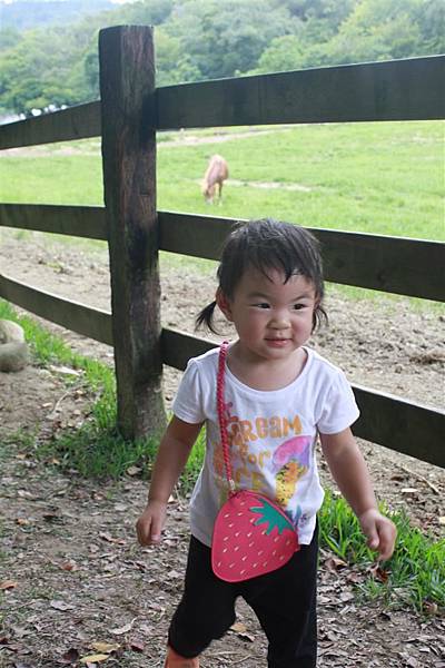 IMG_9412.JPG IMG_9412.JPG