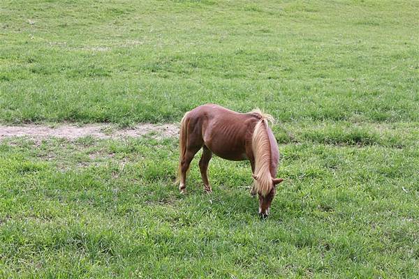 IMG_9413.JPG IMG_9413.JPG