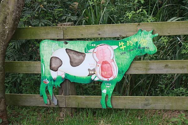 IMG_9415.JPG IMG_9415.JPG