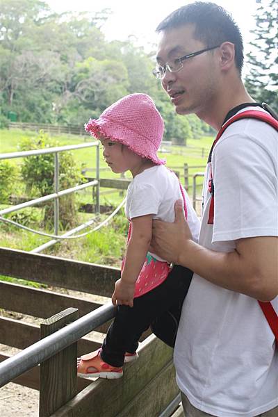 IMG_9418.JPG IMG_9418.JPG