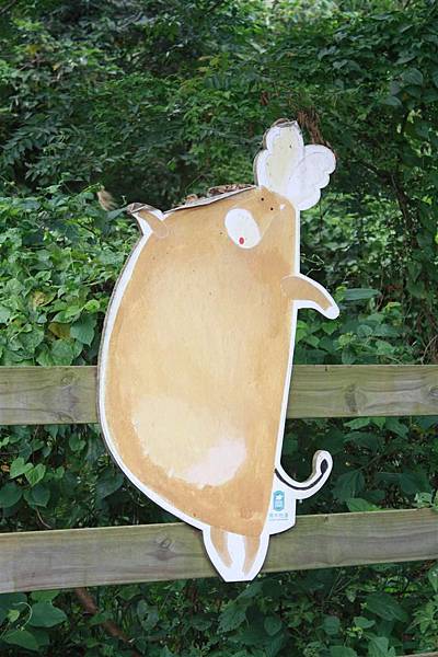 IMG_9416.JPG IMG_9416.JPG