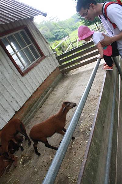 IMG_9422.JPG IMG_9422.JPG