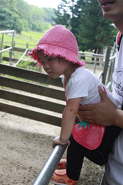 IMG_9424.JPG IMG_9424.JPG