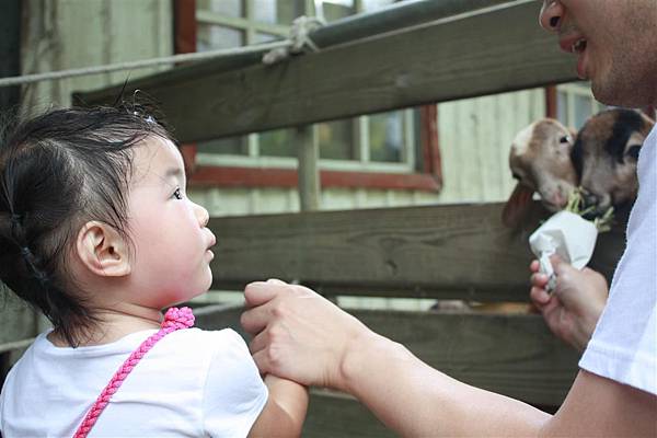 IMG_9431.JPG IMG_9431.JPG