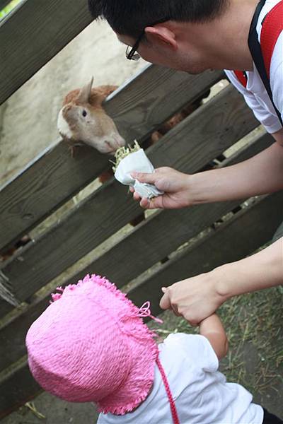 IMG_9425.JPG IMG_9425.JPG