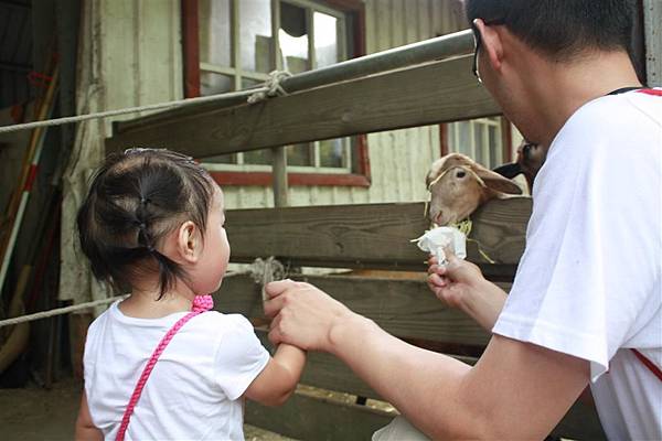 IMG_9435.JPG IMG_9435.JPG