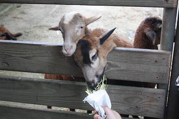 IMG_9440.JPG IMG_9440.JPG