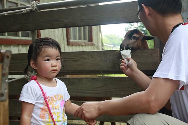 IMG_9448.JPG IMG_9448.JPG